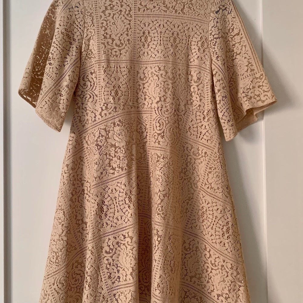 Zara Basic Collection Lace A-Line Dress Blush Nude Size XS - Picture 5 of 8